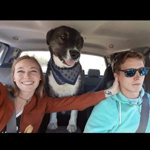 Meet your Posher, Crystal